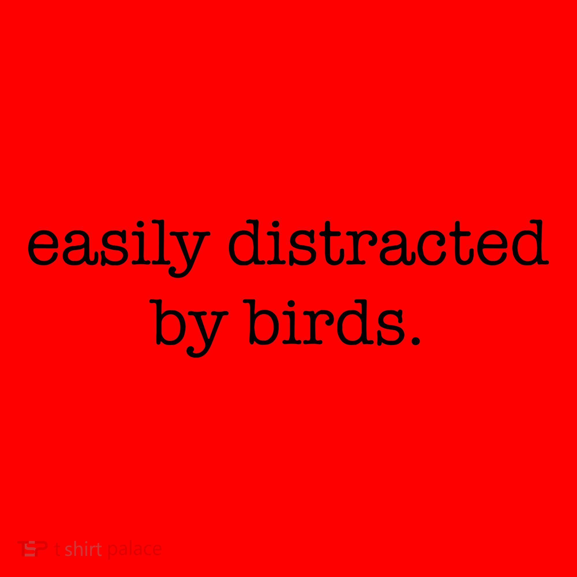 Easily Distracted By Birds Minimalist Birdwatching Birder Santa Hat