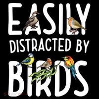Easily Distracted By Birds Women's T-Shirt thumb 6