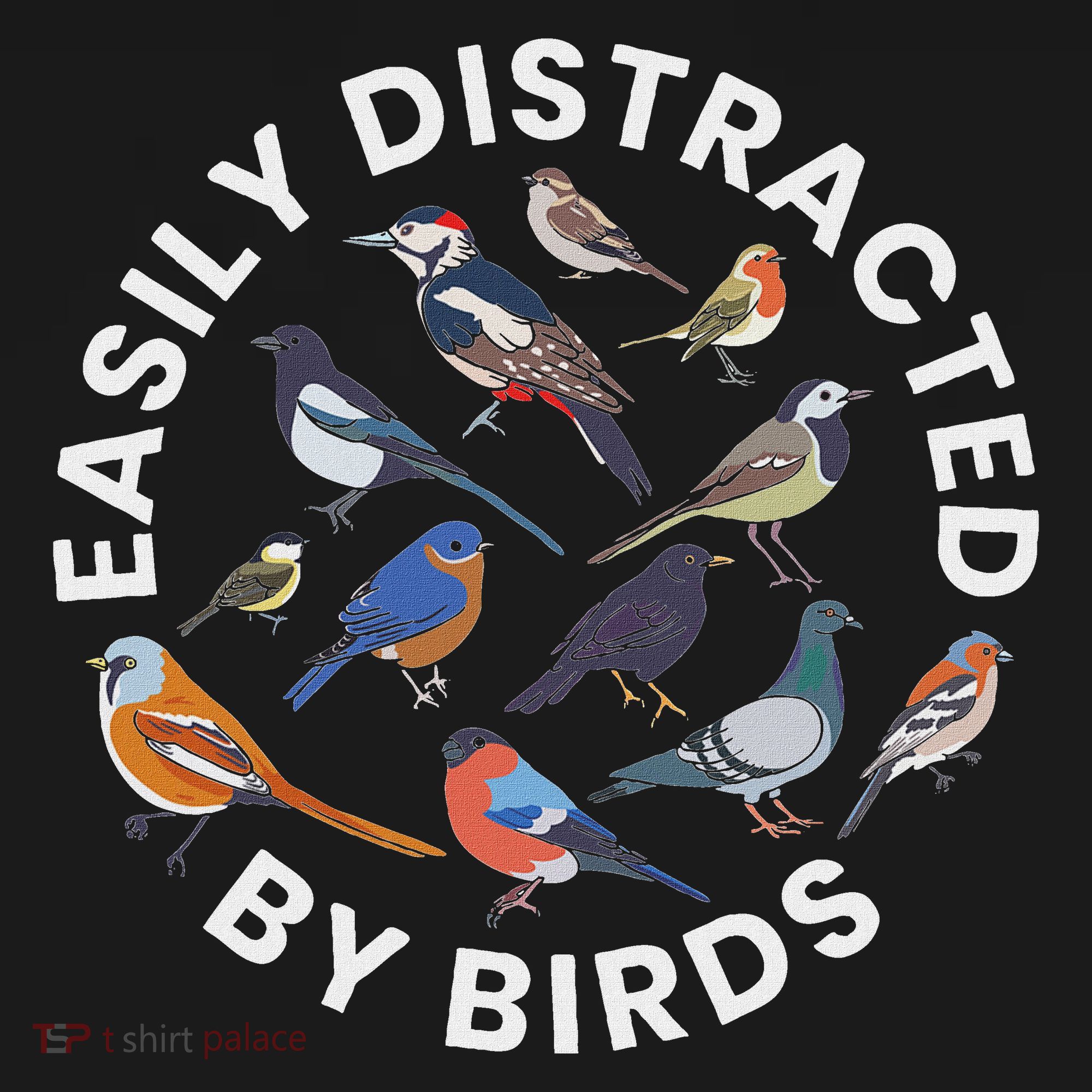 Easily Distracted By Birds Birdwatching Bird Owner Kids Hoodie