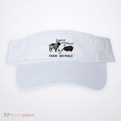 Visor