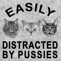 EASILY DISTRACTED BY PUSSIES Toddler T-Shirt thumb 2
