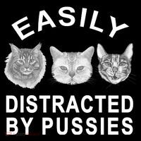 EASILY DISTRACTED BY PUSSIES Ornament thumb 1