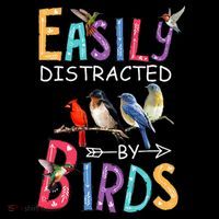 Easily Distracted By Birds Funny Bird  Women's Hoodie thumb 2