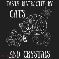 Easily Distracted By Cats Crystals Boho Spiritual Wiccan Hat thumb 2