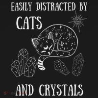 Easily Distracted By Cats Crystals Boho Spiritual Wiccan Kids Long Sleeve Shirt thumb 2