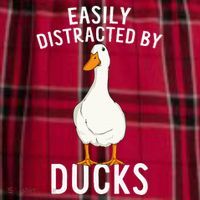 Easily Distracted By Ducks Funny Duck Lover Men's Flannel Plaid Pajama Pants thumb 2