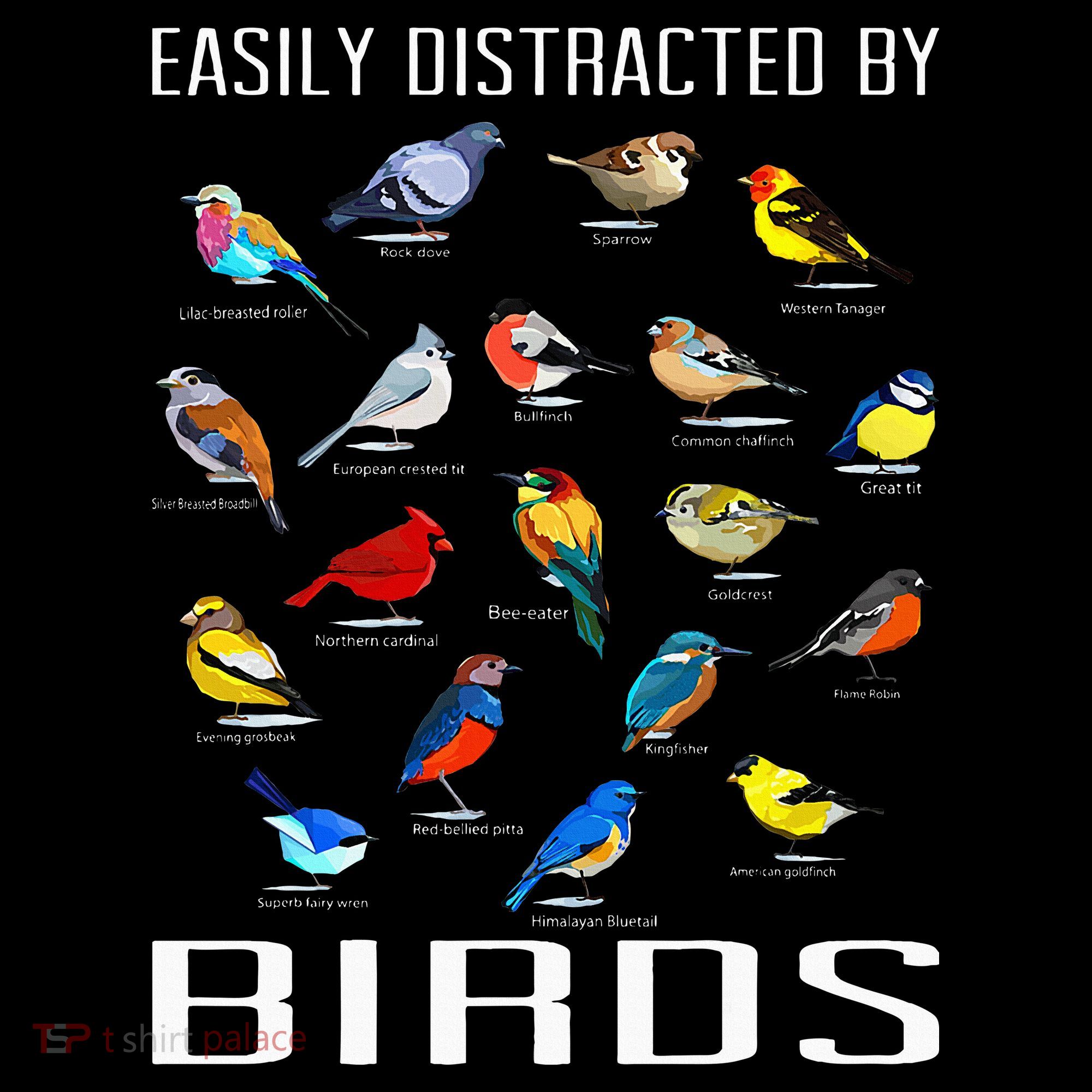 Easily Distracted By Birds Birdwatching Lover Birdwatcher Women's Hoodie