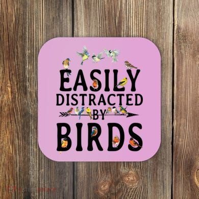 Easily Distracted By Birds Bird Lover Coaster