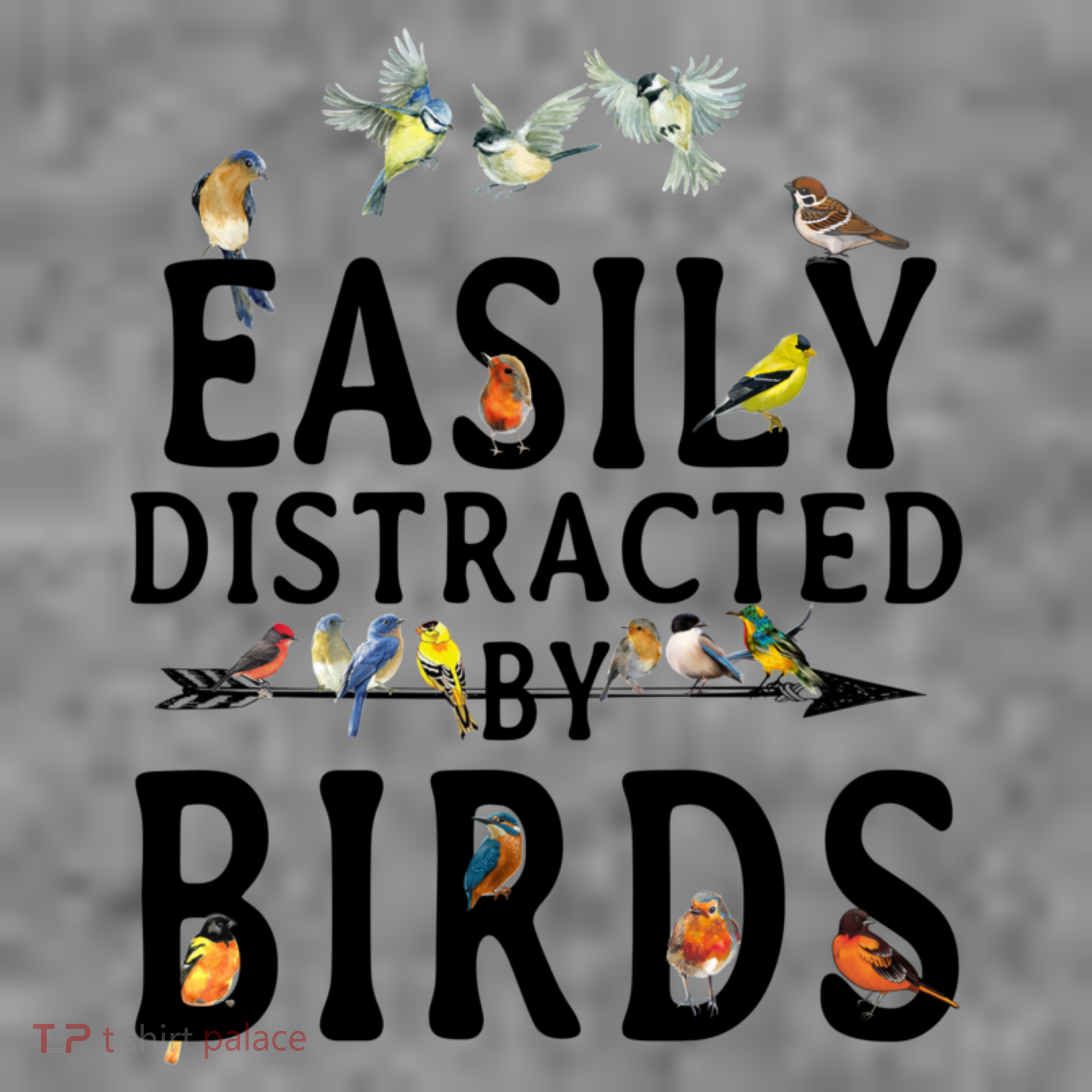 Easily Distracted By Birds Bird Lover Toddler Hoodie