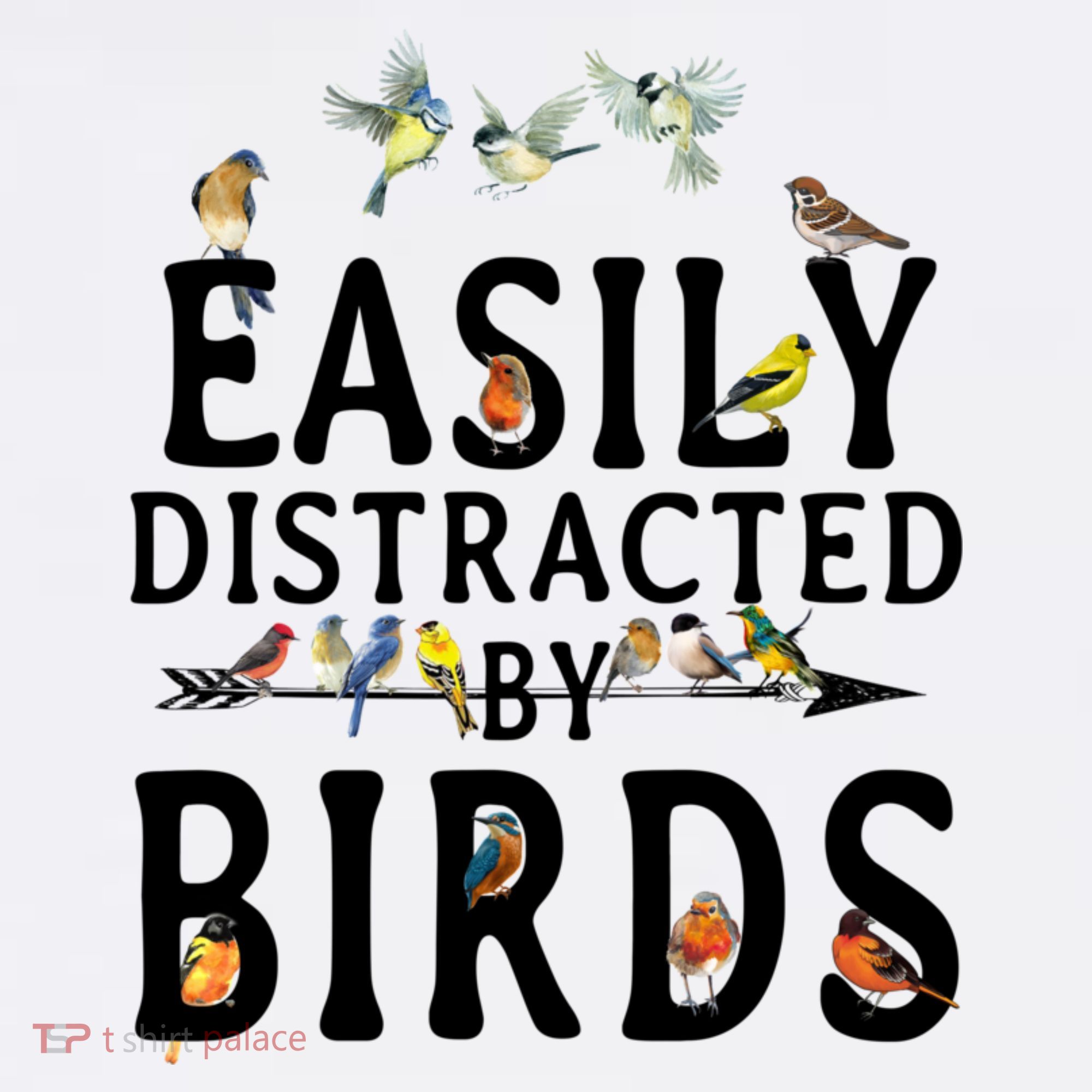 Easily Distracted By Birds Bird Lover Hoodie