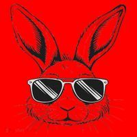 Easter Day Cool Bunny Face With Sunglasses Santa Hat thumb 1