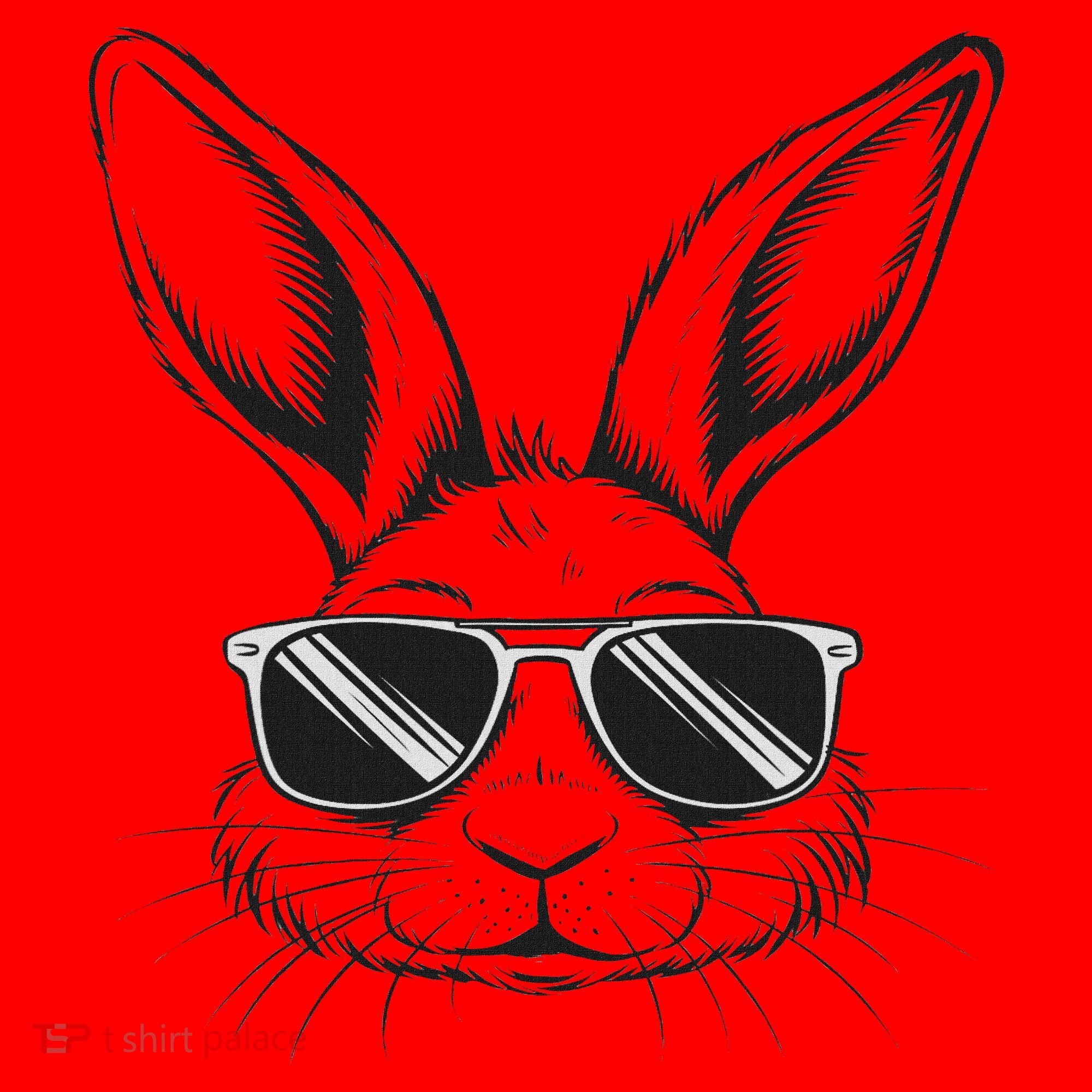 Easter Day Cool Bunny Face With Sunglasses Santa Hat