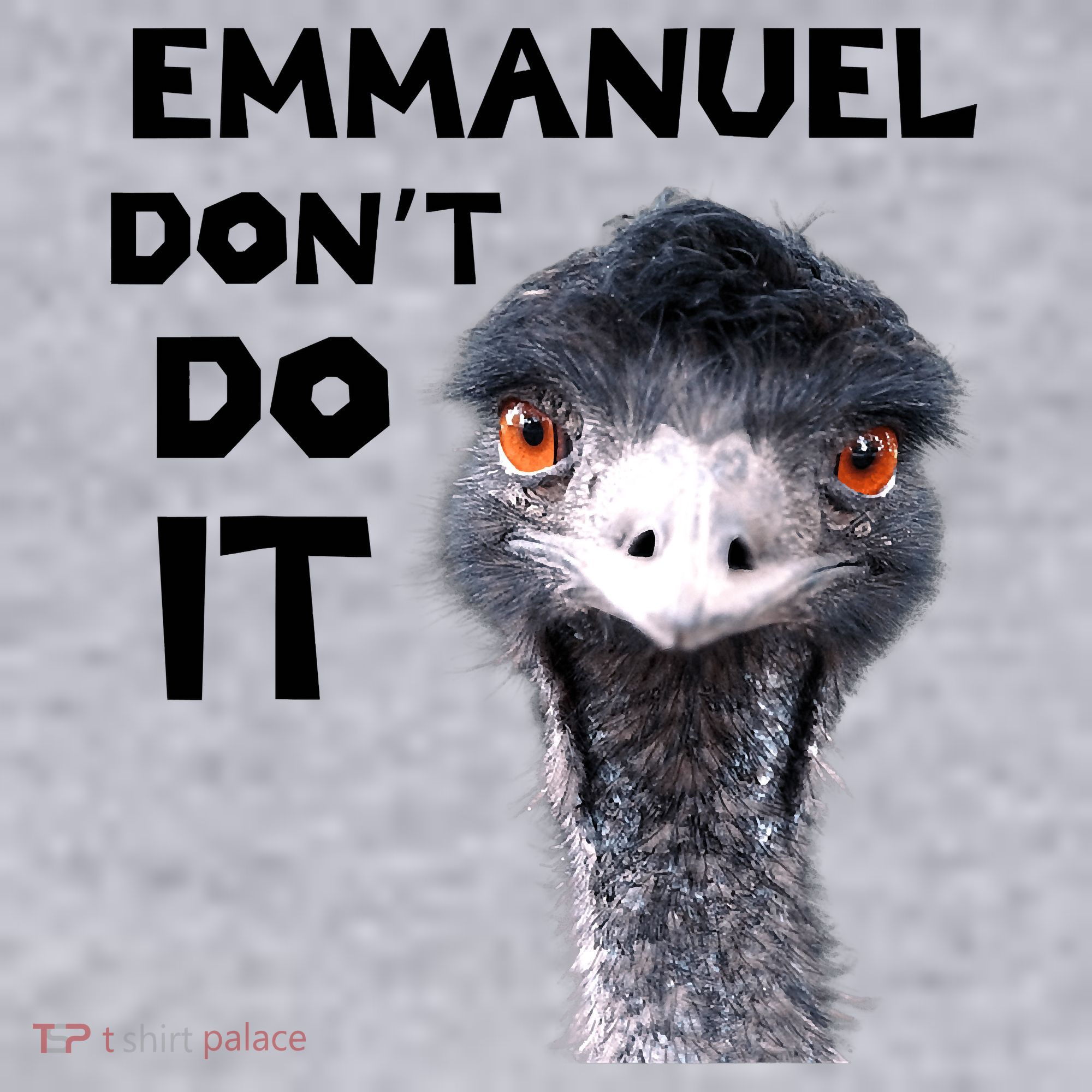 Emmanuel Don't Do It Viral Emu Women's Sweatshirt