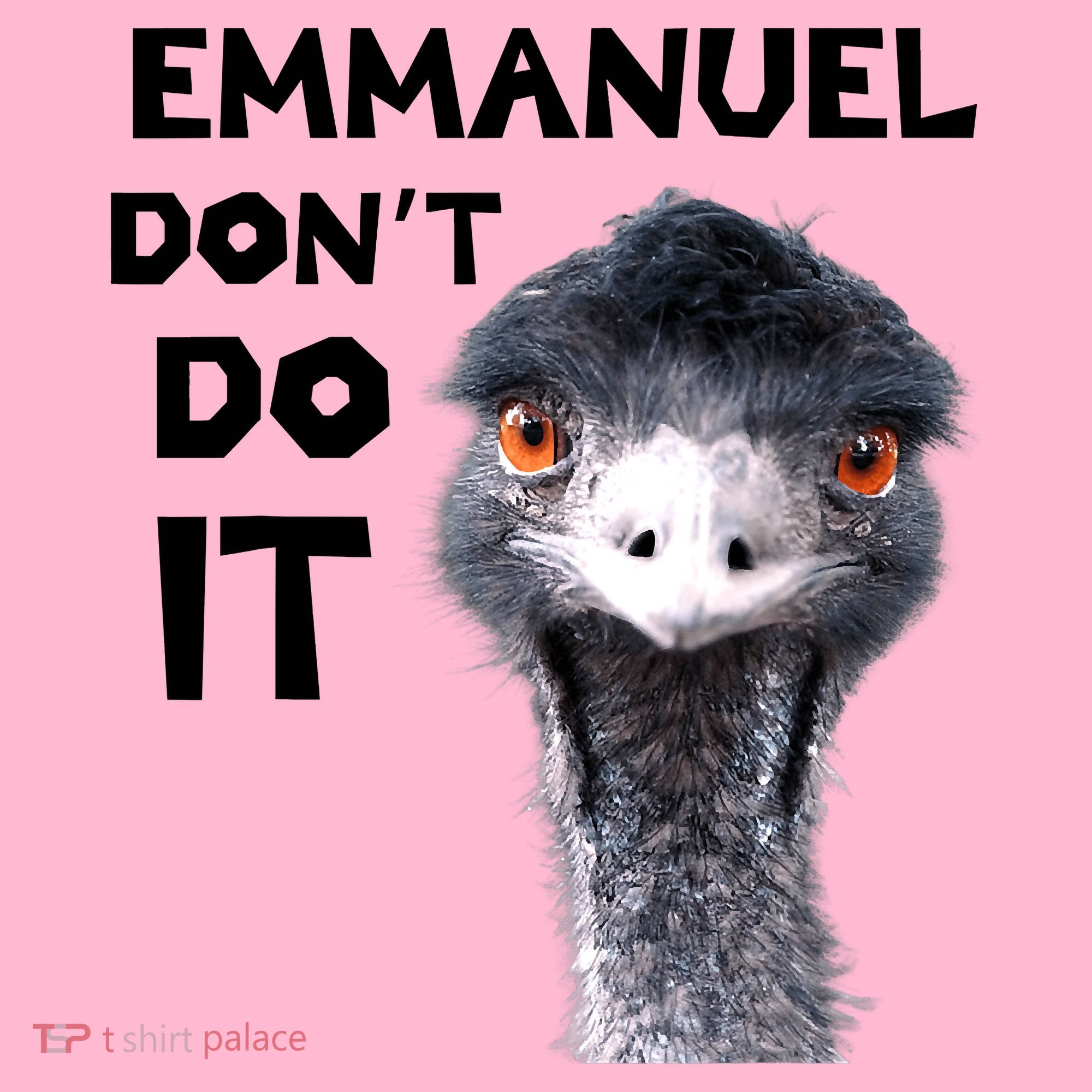 Emmanuel Don't Do It Viral Emu Coaster