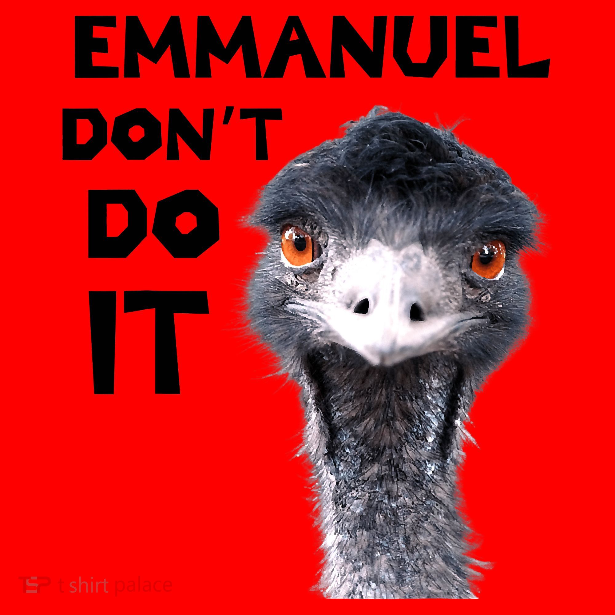 Emmanuel Don't Do It Viral Emu Santa Hat