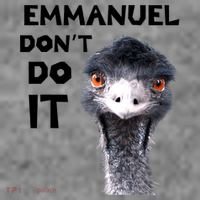 Emmanuel Don't Do It Viral Emu Toddler Hoodie thumb 2