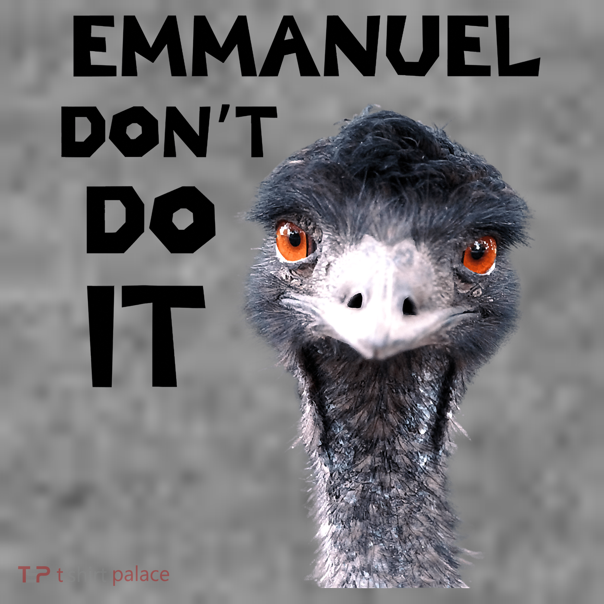 Emmanuel Don't Do It Viral Emu Toddler Hoodie