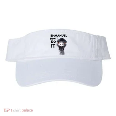 Visor
