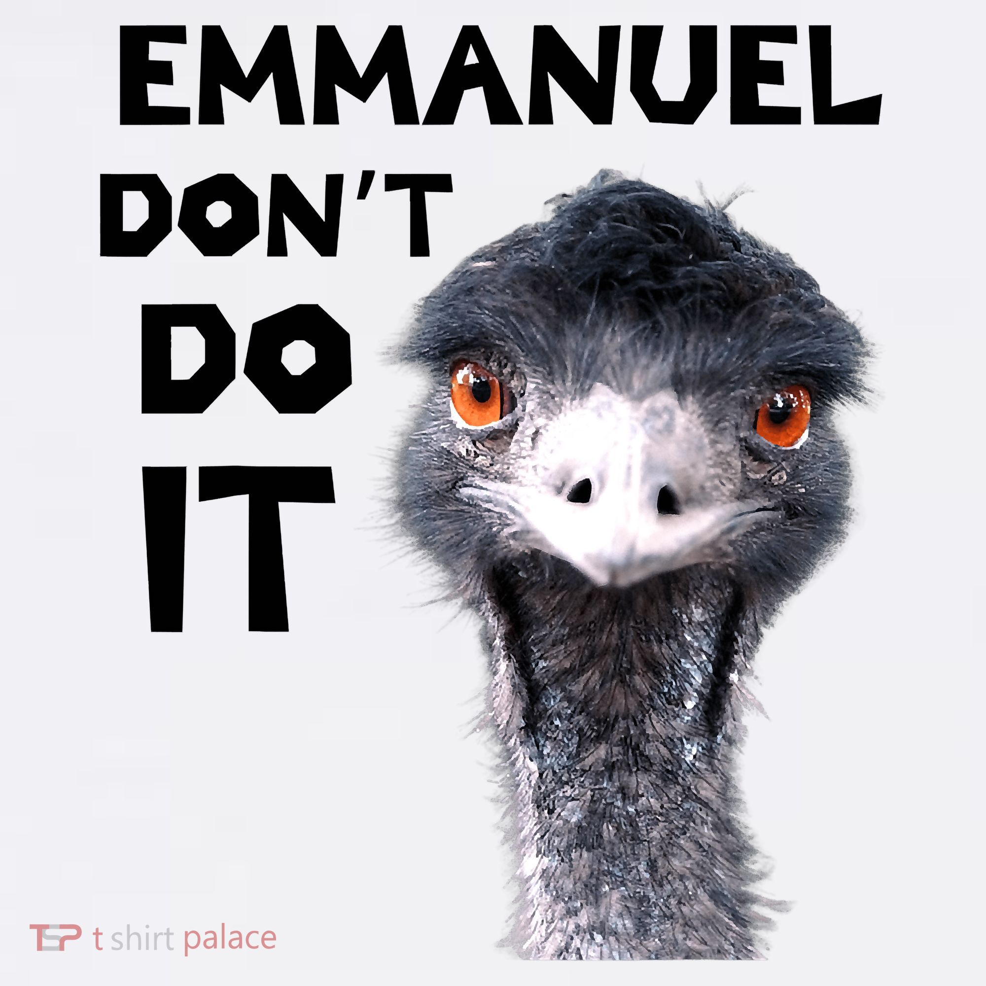 Emmanuel Don't Do It Viral Emu Kids Long Sleeve Shirt