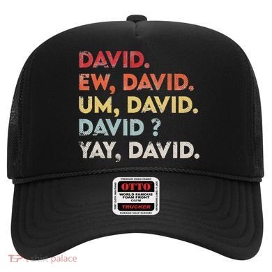 Ew David Funny Vintage Retro Distressed Women Gift Hat