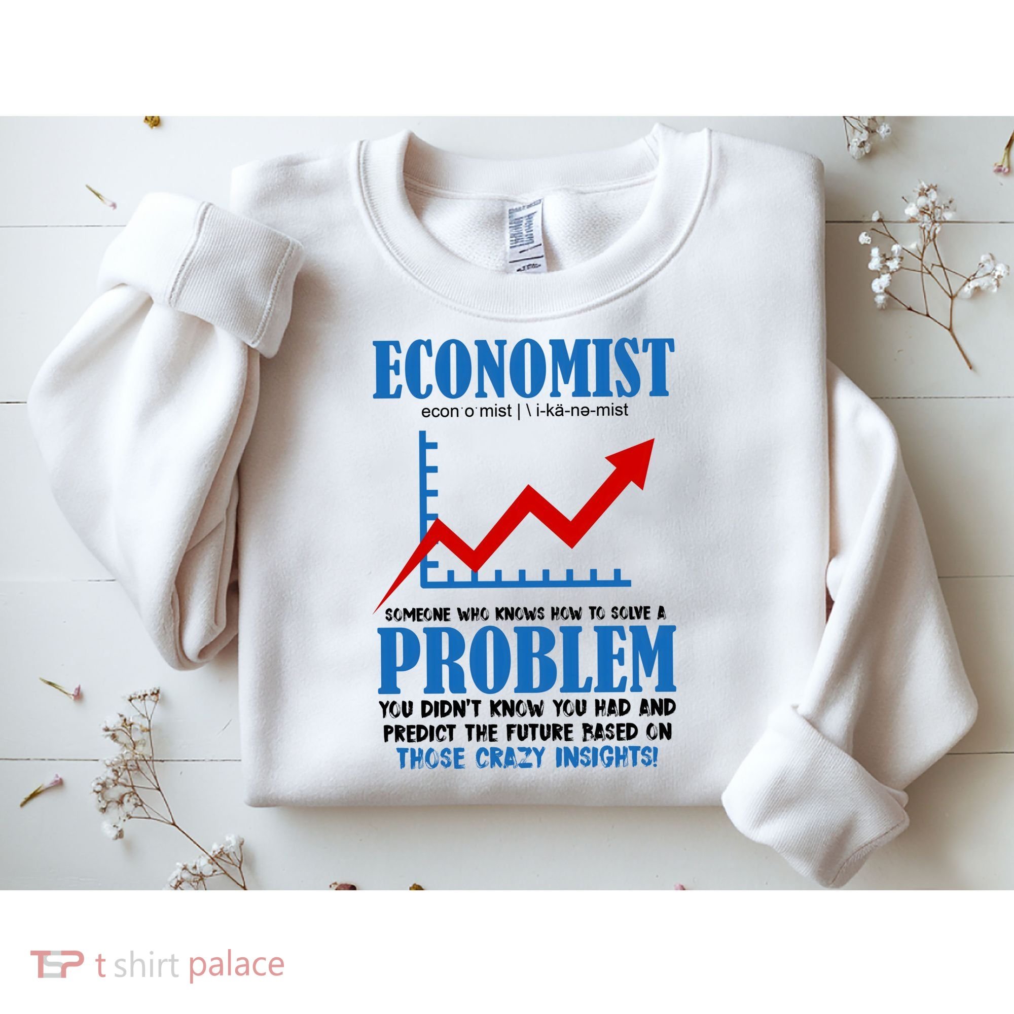 Economist Definition Funny Joke Sweatshirt