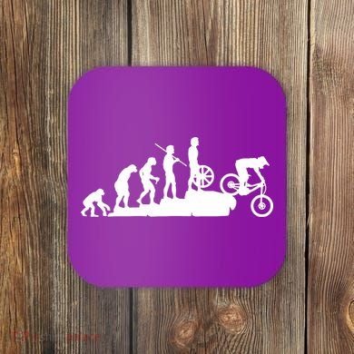 Evolution Downhill Mountain Bike Biking Coaster