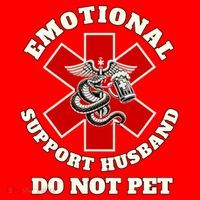 Emotional Do Not Pet Emotional Support Husband Santa Hat thumb 1