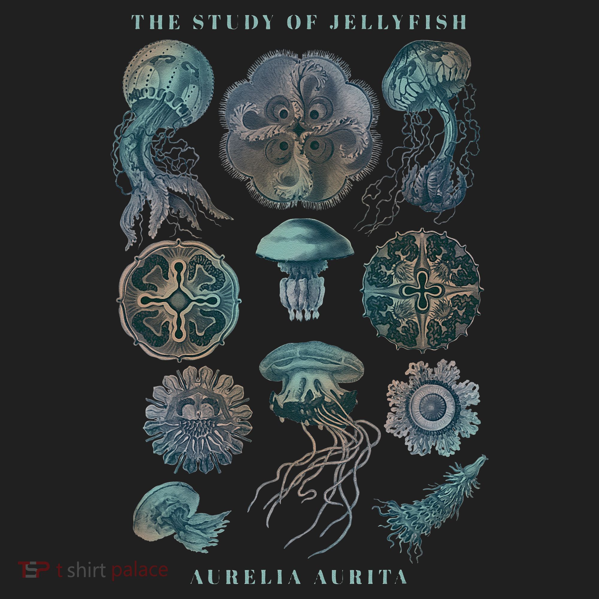 Earth Day The Study Of Jellyfish Women's Sweatshirt