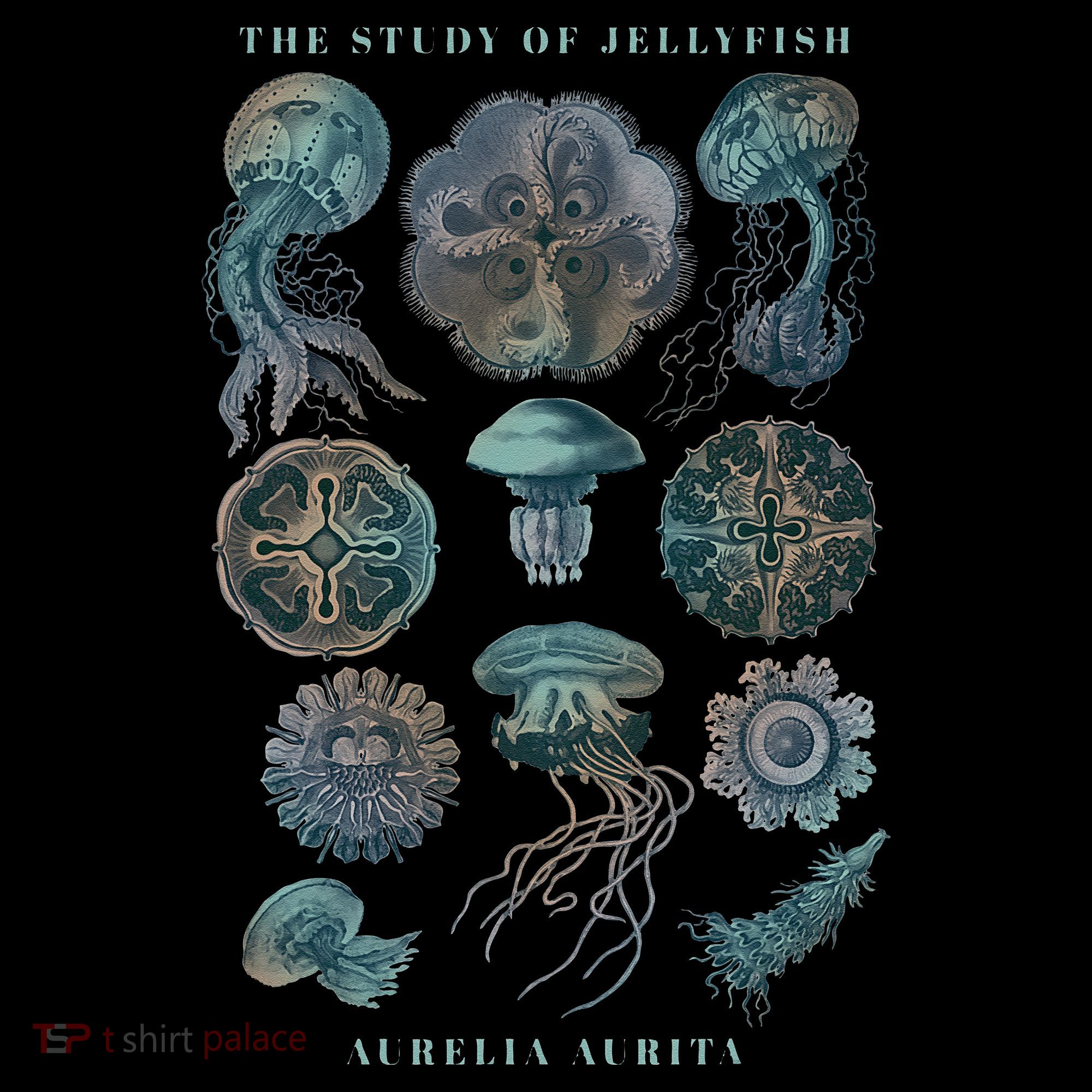Earth Day The Study Of Jellyfish Women's Hoodie
