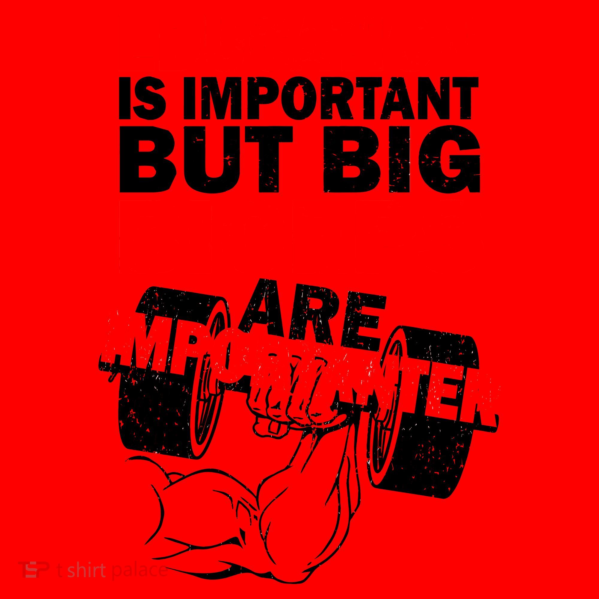 Education Is Important Big Biceps Are Importanter Santa Hat