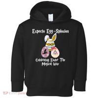 Expecto Eggsplosion Celebrating Easter The Magical Way Potter Easter Toddler Hoodie thumb 0