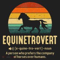 Equinetrovert Equestrian Equine Introvert Beanie thumb 2