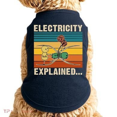 Electricity Explained Doggie Tank