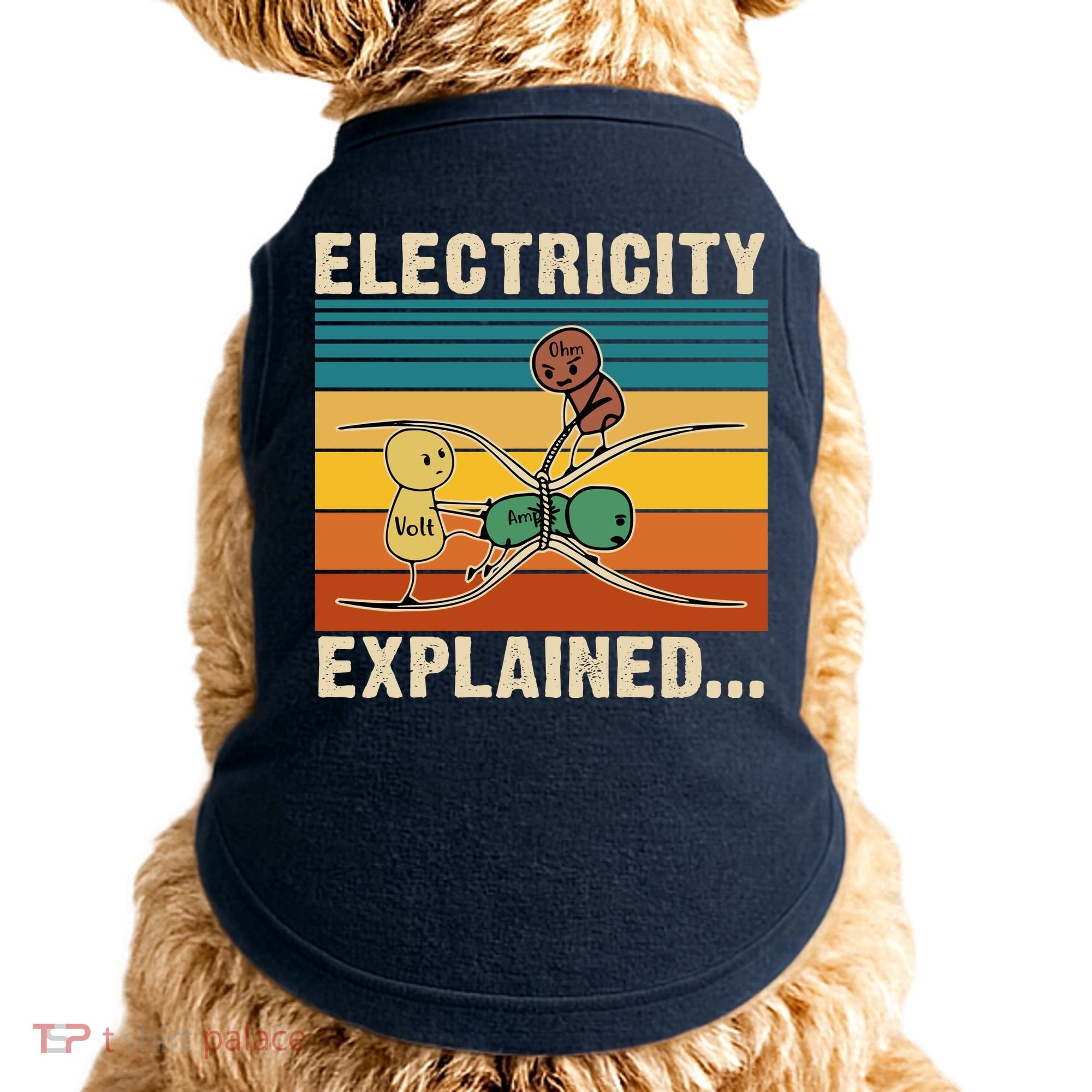 Electricity Explained Doggie Tank