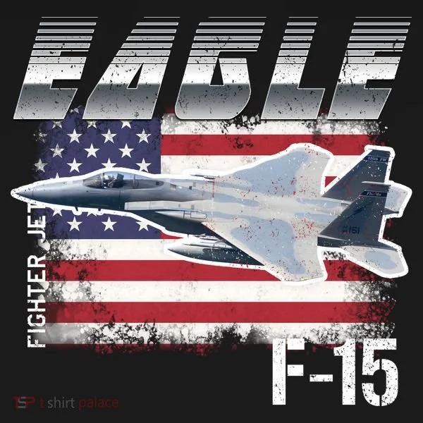Eagle F 15 Aircraft Toddler Hoodie