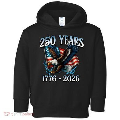 Eagle Flag 250 Years 1776-2026 250th Birthday Toddler Hoodie