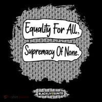 Equality For All Supremacy Of None Toddler Hoodie thumb 2