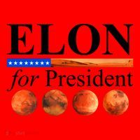 Elon For President USA Mars Flag Santa Hat thumb 1