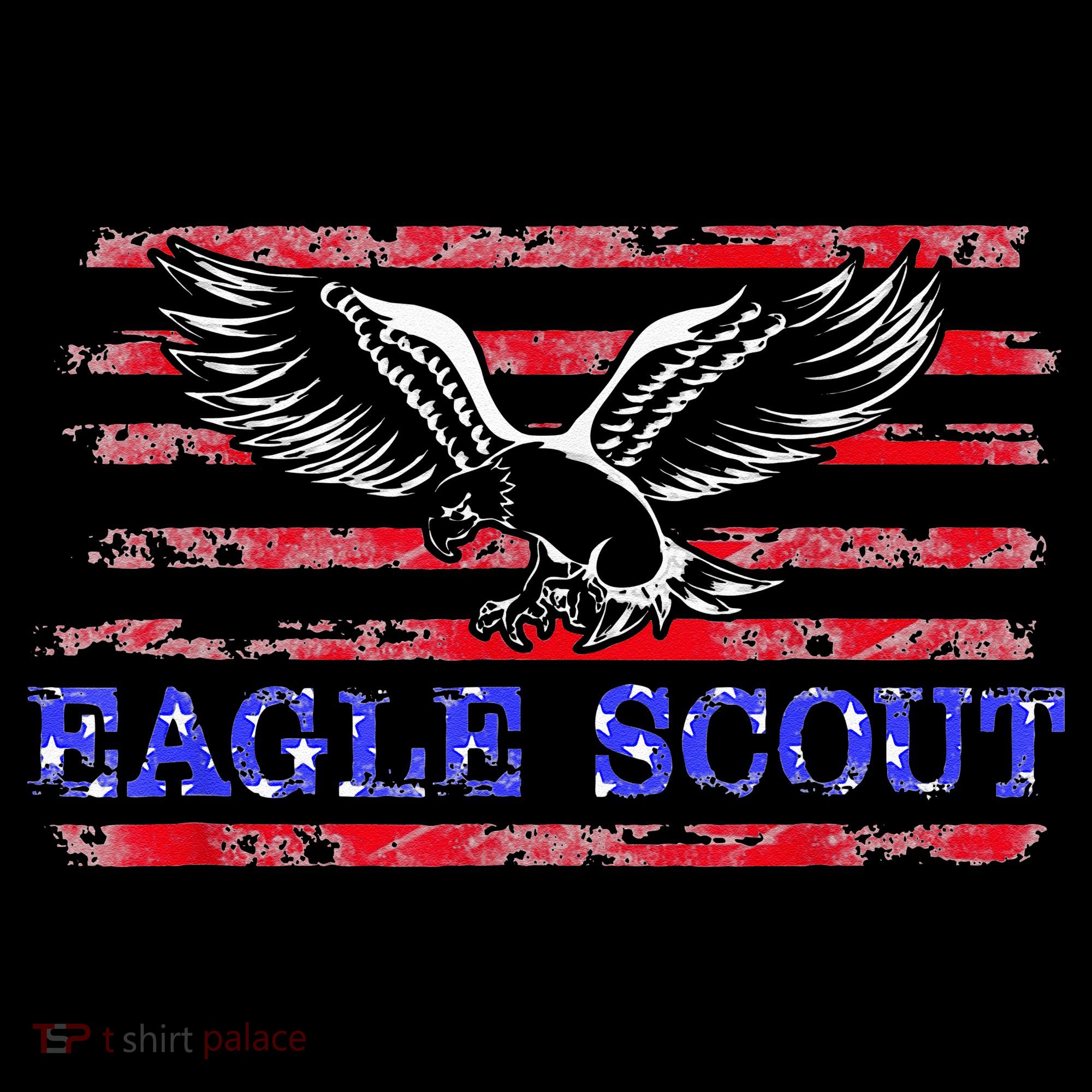 Eagle Flag Scout Gift T-Shirt