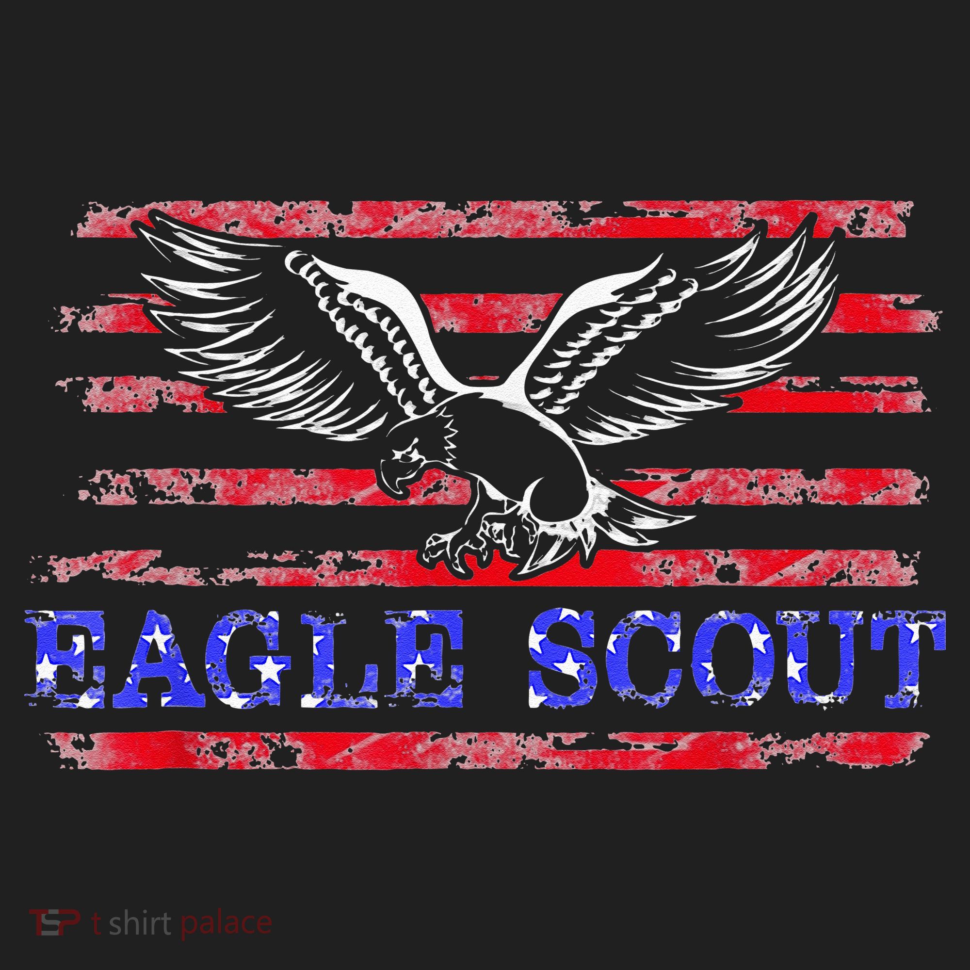 Eagle Flag Scout Gift Hat