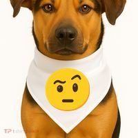 Emoticon Face With Raised Eyebrow Gift USA-Made Doggie Bandana thumb 1