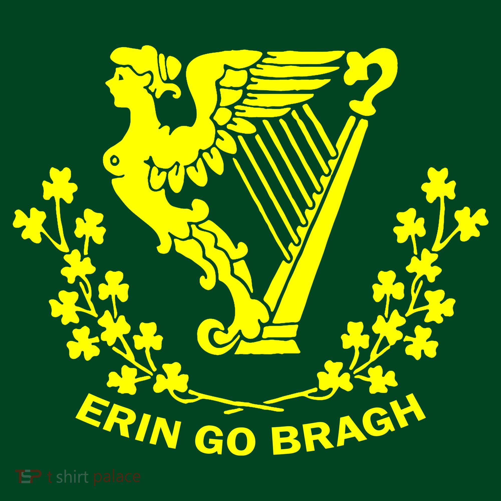 Erin Go Bragh Kids Sweatshirt