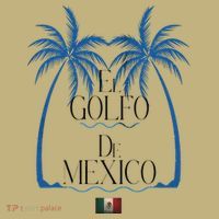 El Golfo De MéXico Dolphin Golf Of Mexico T-Shirt thumb 7
