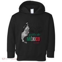 El Golfo De MéXico Gulf Of Mexico Est 1550 Historic Map Toddler Hoodie thumb 0