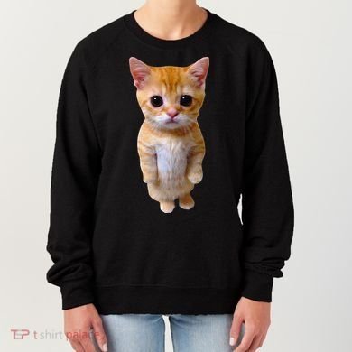 El Gato Meme Sad Crying Cat Munchkin Kitty Meme Trendy Women's Sweatshirt