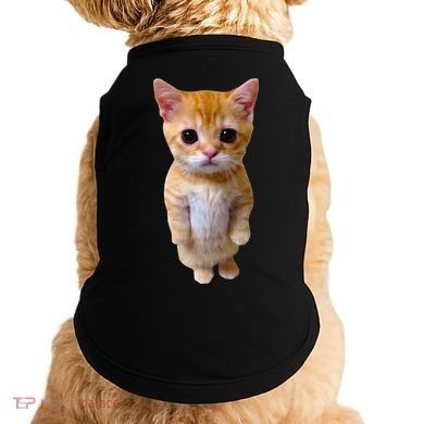 El Gato Meme Sad Crying Cat Munchkin Kitty Meme Trendy Doggie Tank