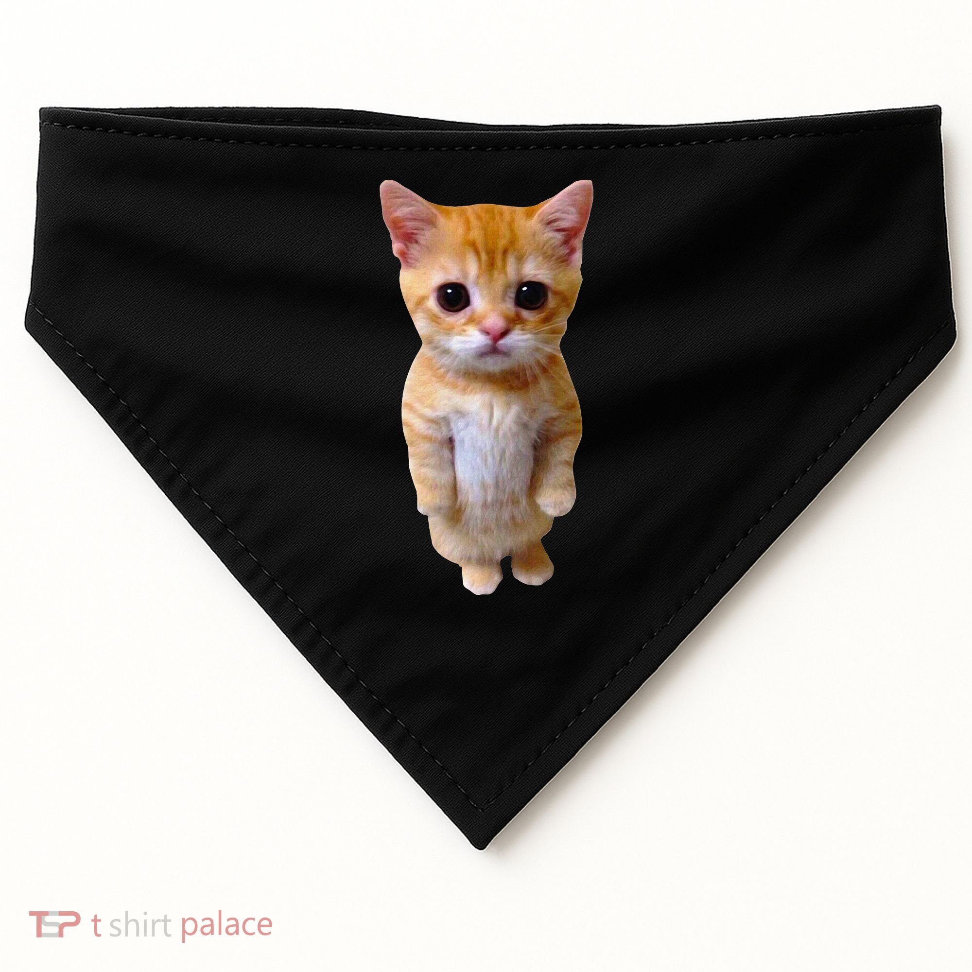 El Gato Meme Sad Crying Cat Munchkin Kitty Meme Trendy USA-Made Doggie Bandana