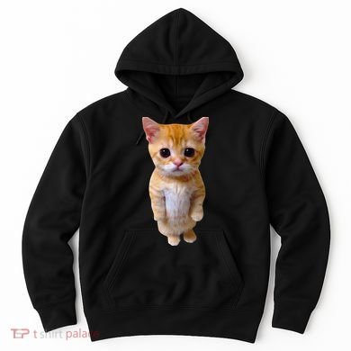 El Gato Meme Sad Crying Cat Munchkin Kitty Meme Trendy Hoodie