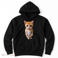 El Gato Meme Sad Crying Cat Munchkin Kitty Meme Trendy Hoodie thumb 0