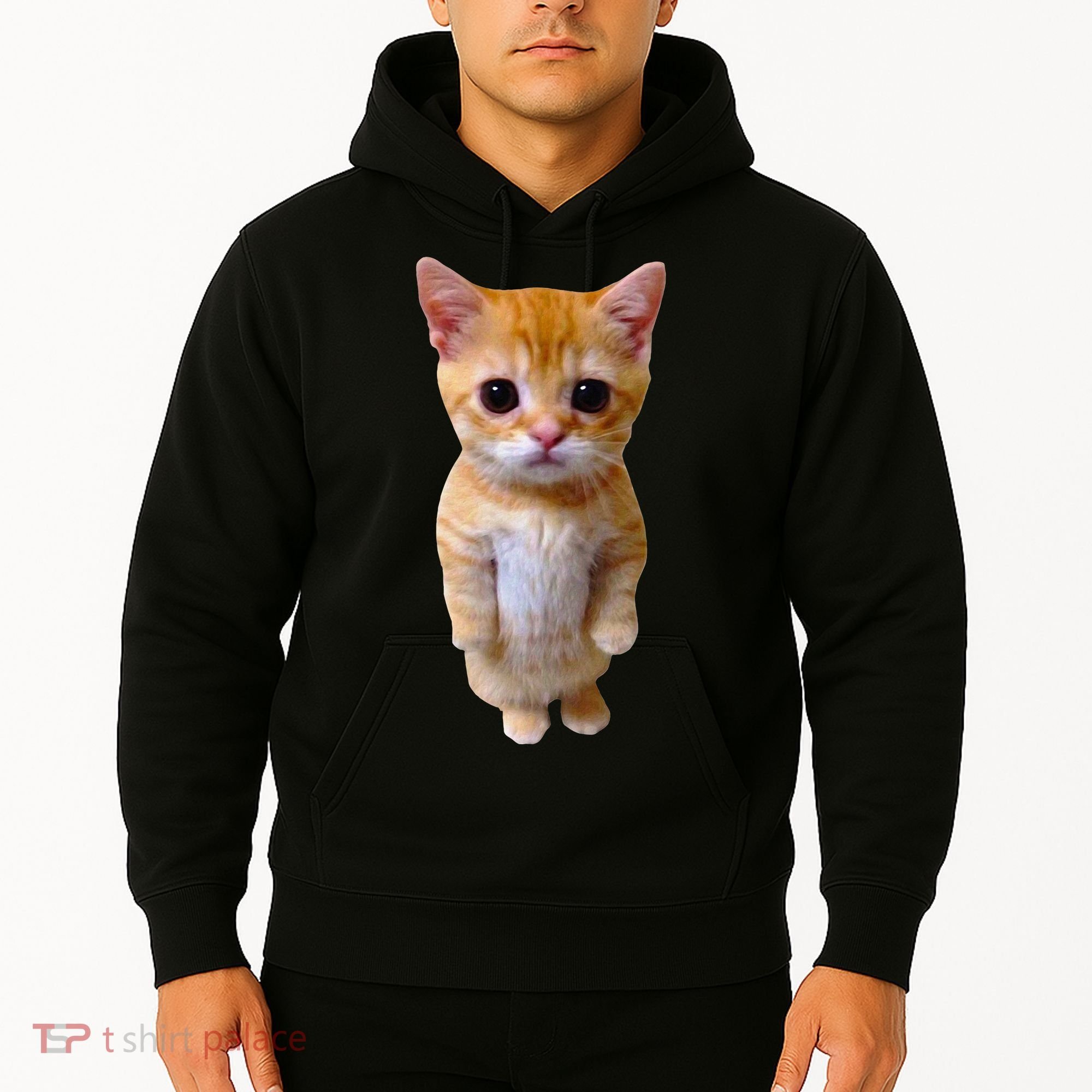 El Gato Meme Sad Crying Cat Munchkin Kitty Meme Trendy Hoodie